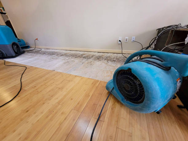 Professional Water Extraction technician working in Morganton, GA